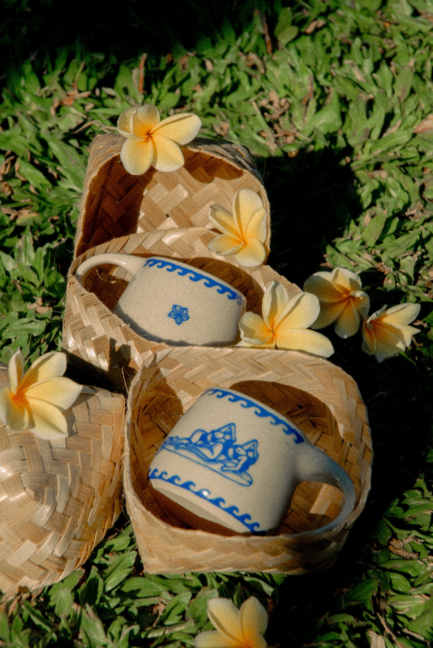 Frangipani Mug