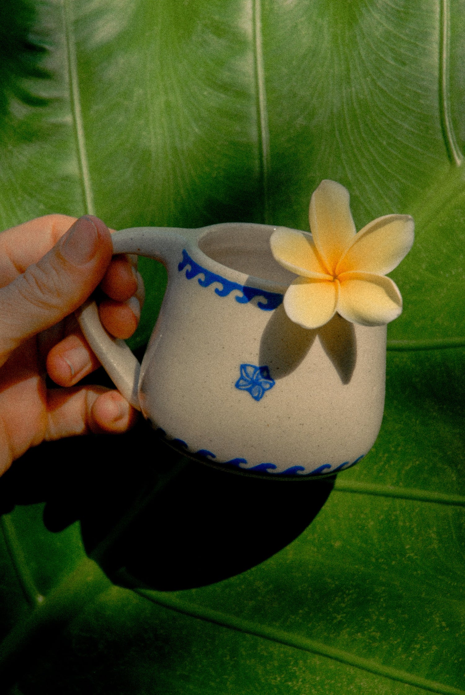 TROPICAL BLOOMS COLLECTION