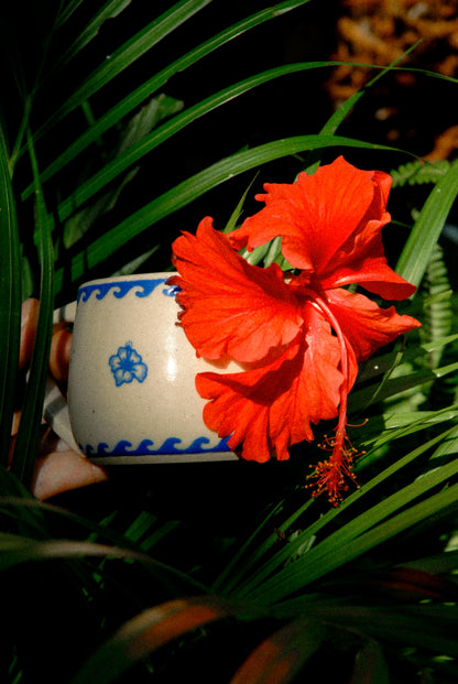 Hibiscus Mug
